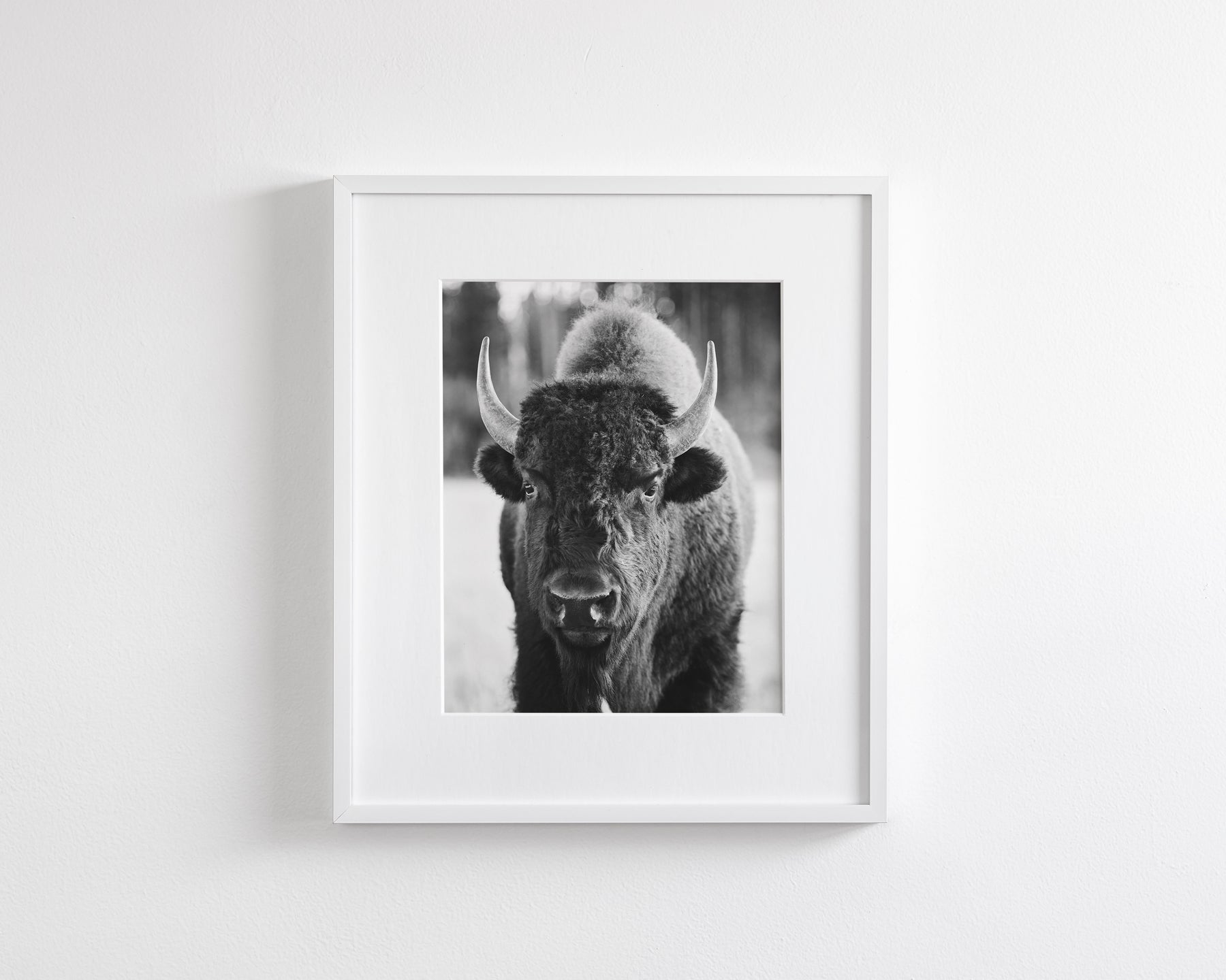 Bison, Vertical