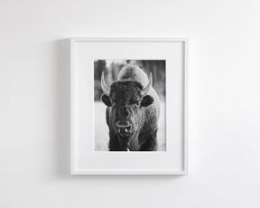 Bison, Vertical