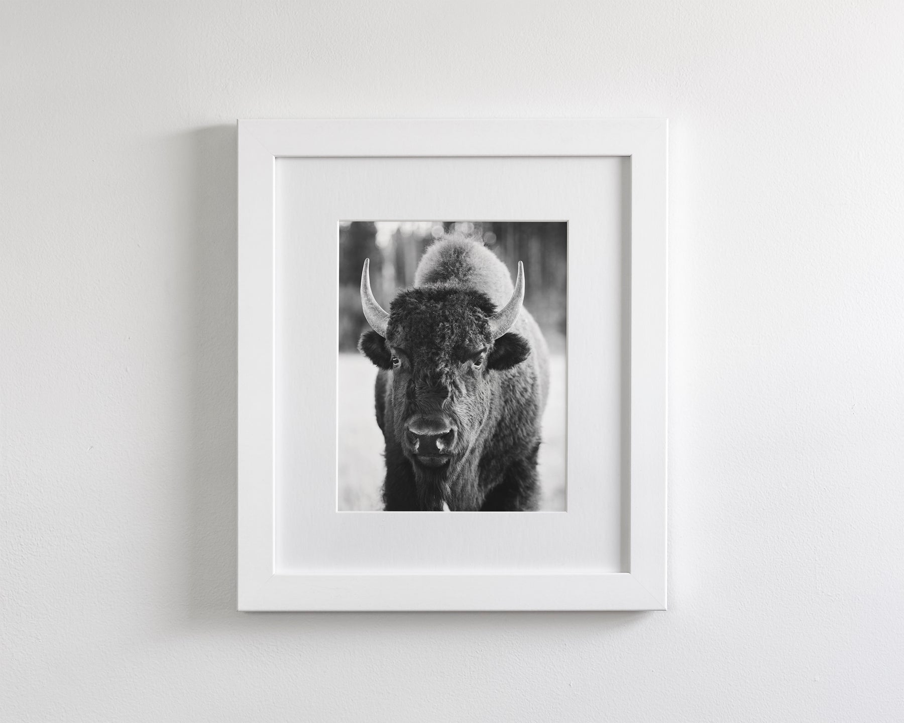 Bison, Vertical
