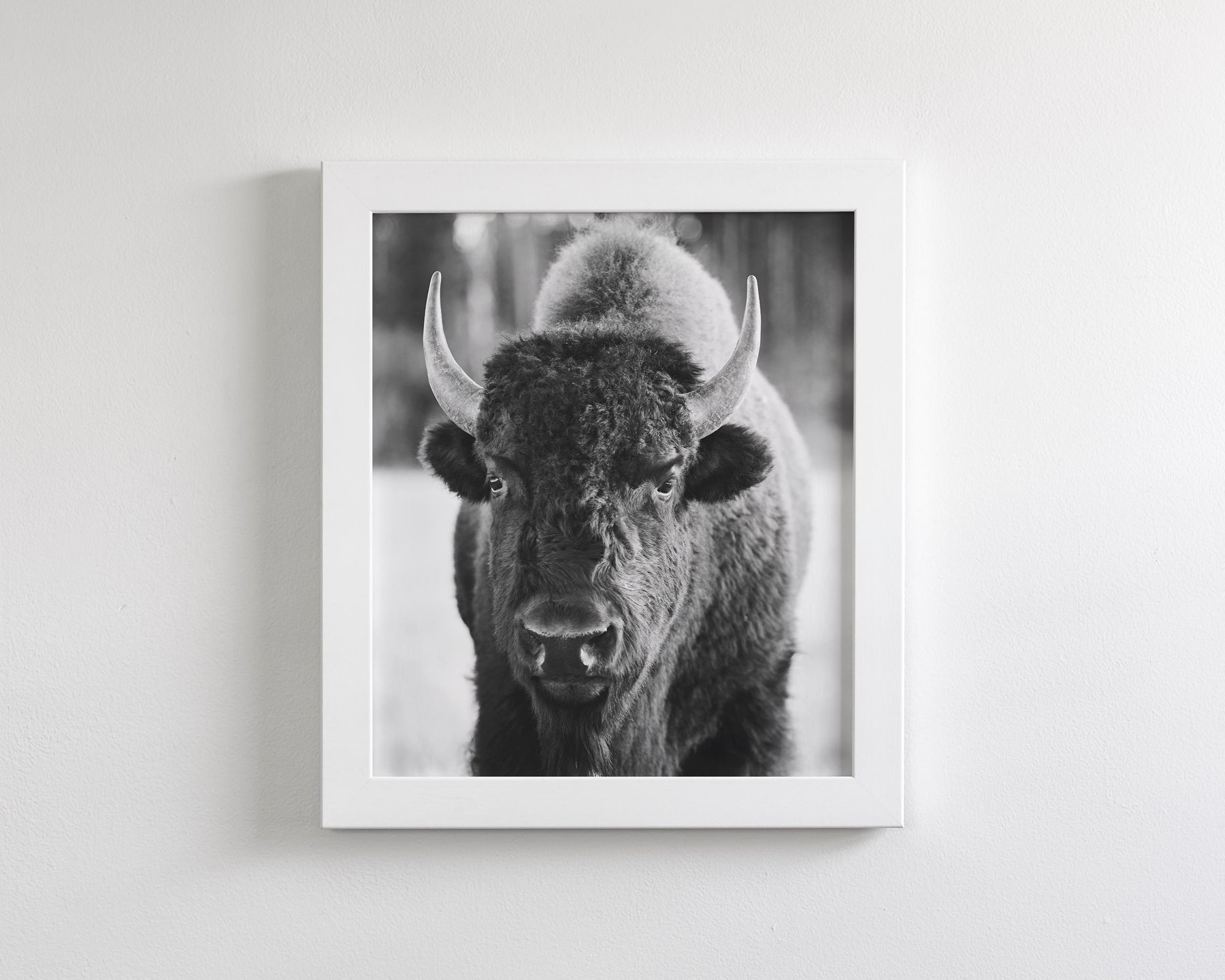 Bison, Vertical