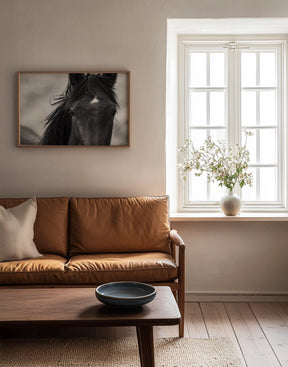 Wild Black Horse Portrait