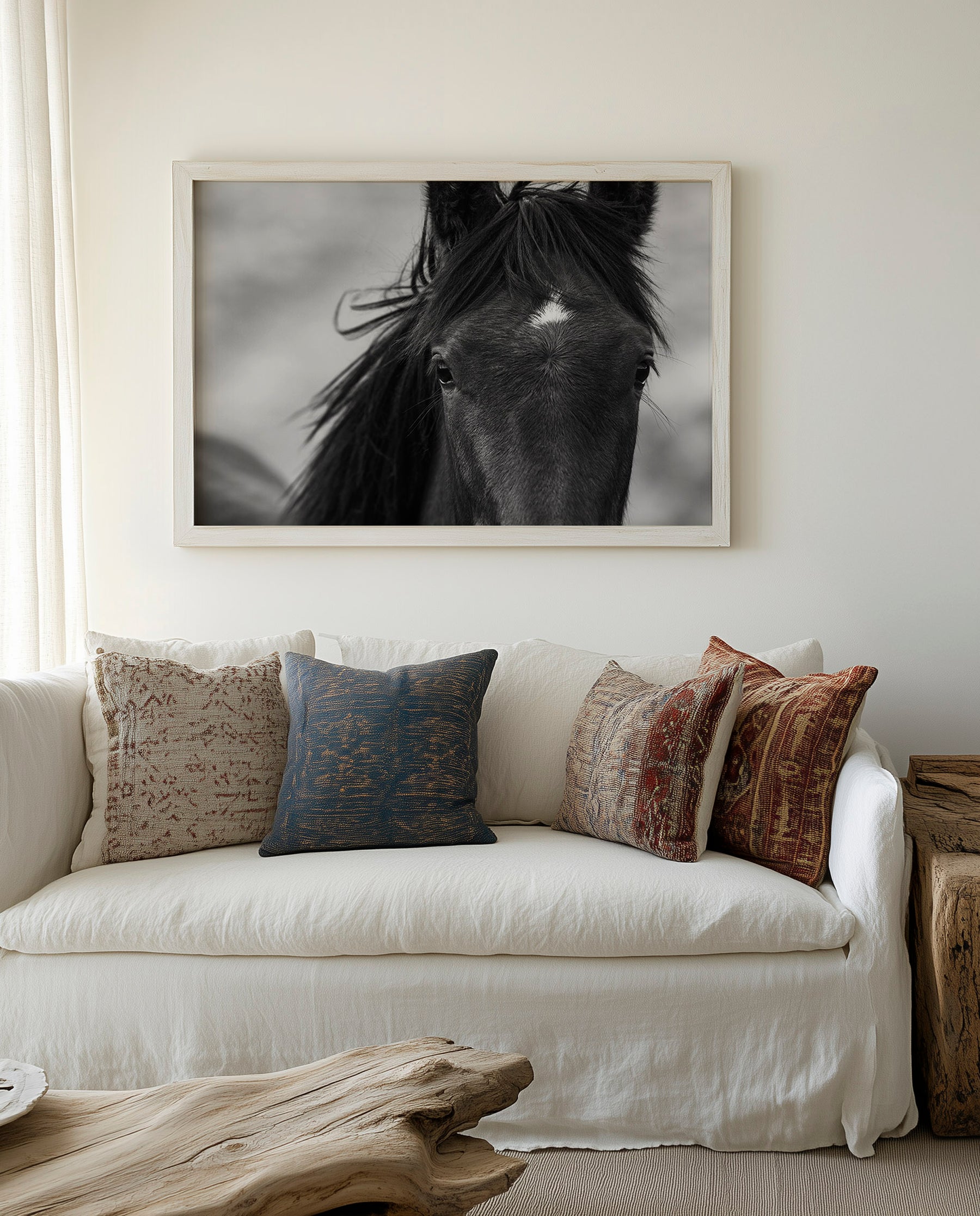 Wild Black Horse Portrait