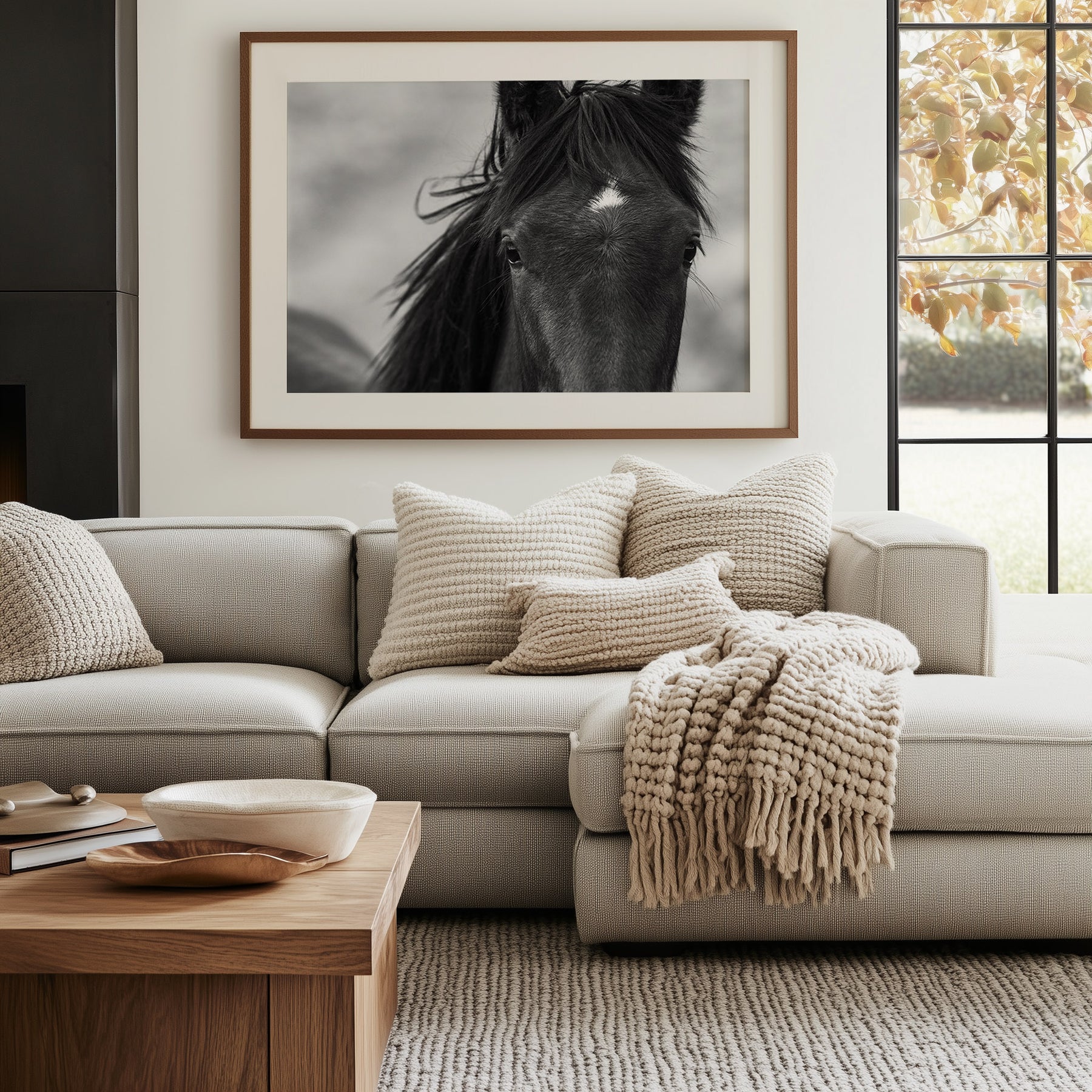 Wild Black Horse Portrait