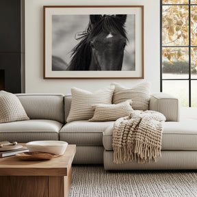 Wild Black Horse Portrait