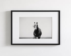 Vintage Style Horse