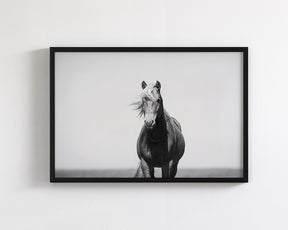 Vintage Style Horse