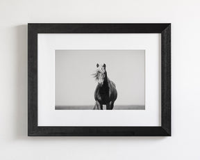 Vintage Style Horse