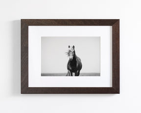 Vintage Style Horse