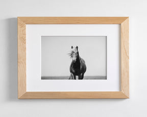Vintage Style Horse
