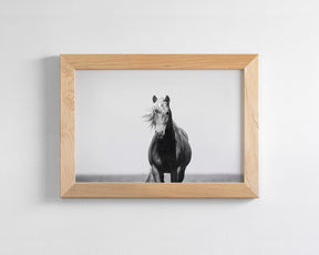 Vintage Style Horse