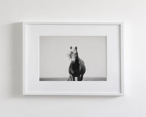 Vintage Style Horse