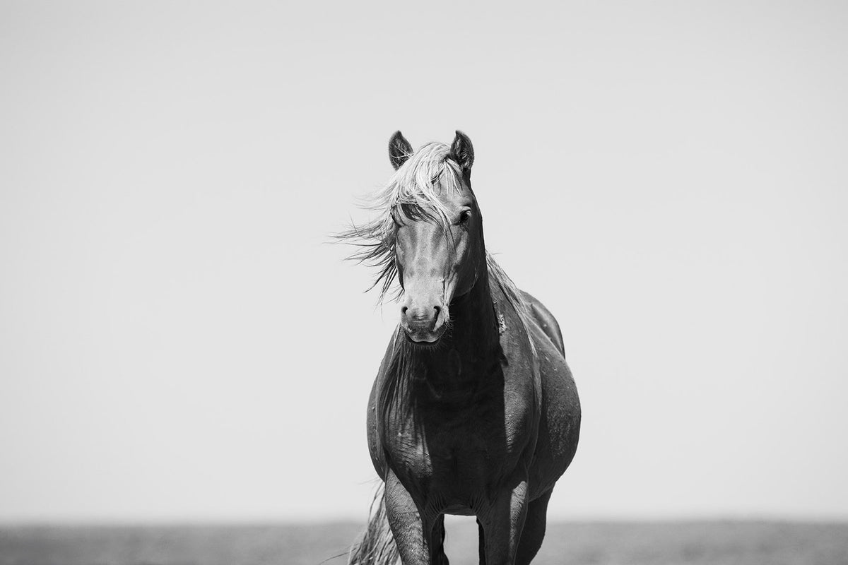 Vintage Style Horse