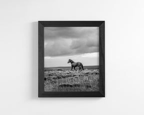 The Catch Up, Vertical