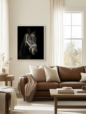 Dark Horse and Halter