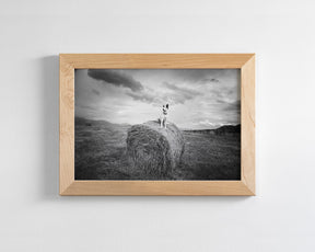 Farm Dog in Field