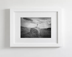 Farm Dog in Field