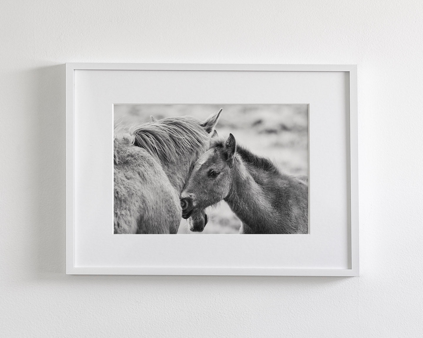 Foal and Mother – Tender Equine Moment
