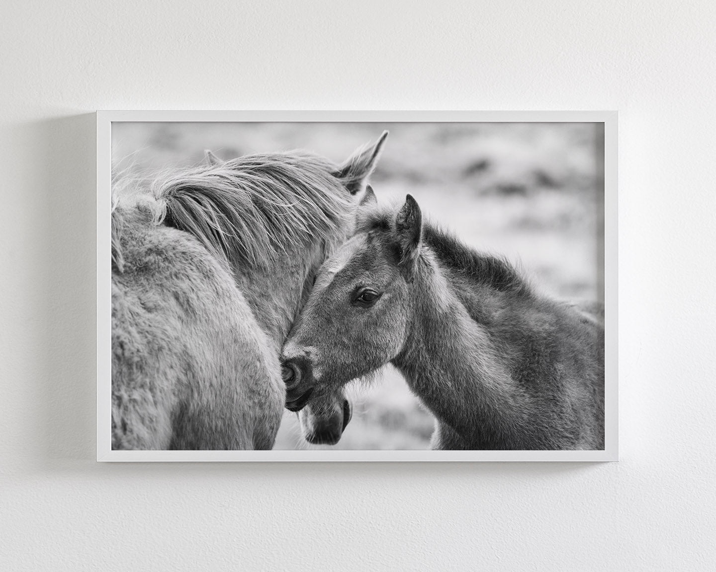 Foal and Mother – Tender Equine Moment