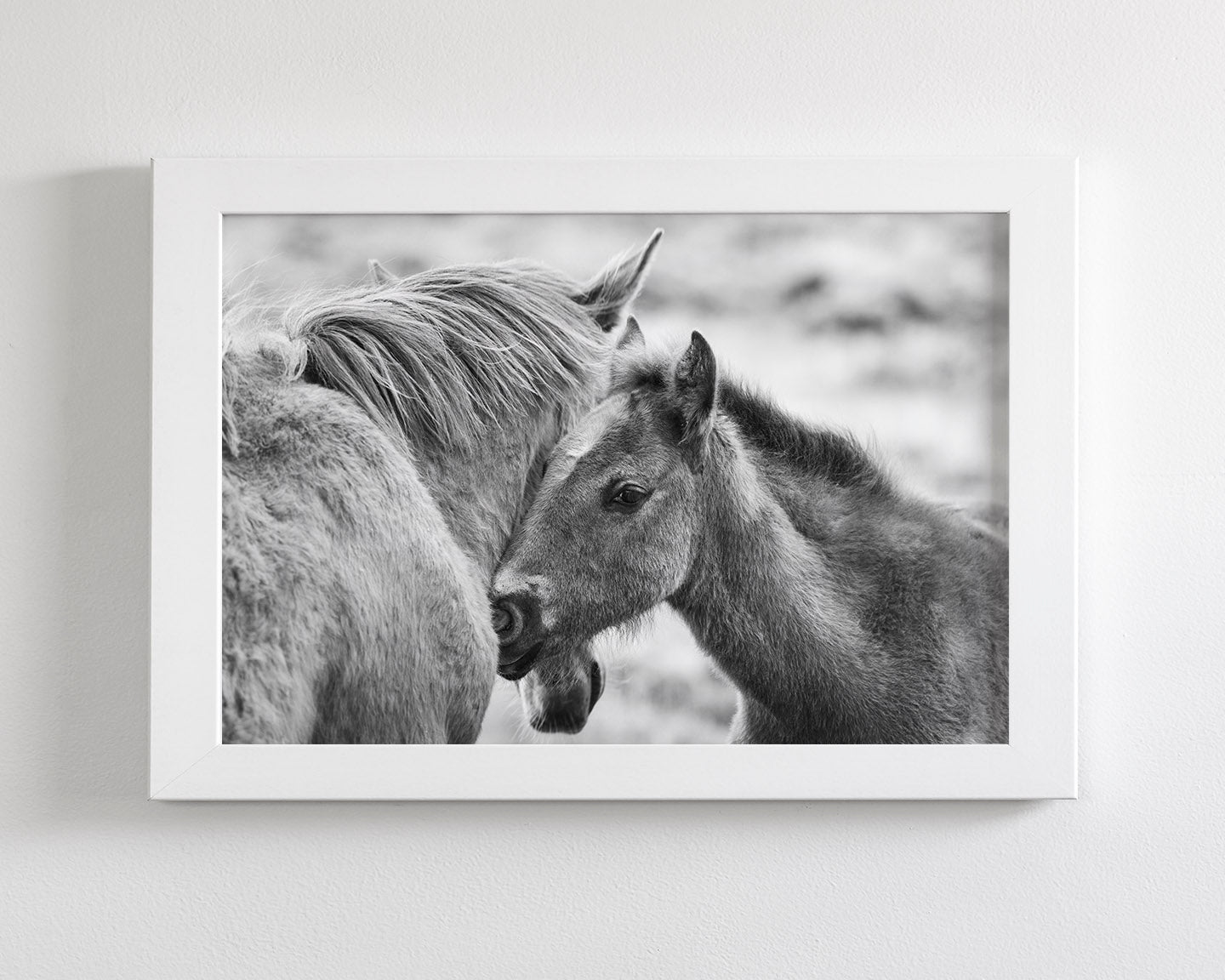 Foal and Mother – Tender Equine Moment
