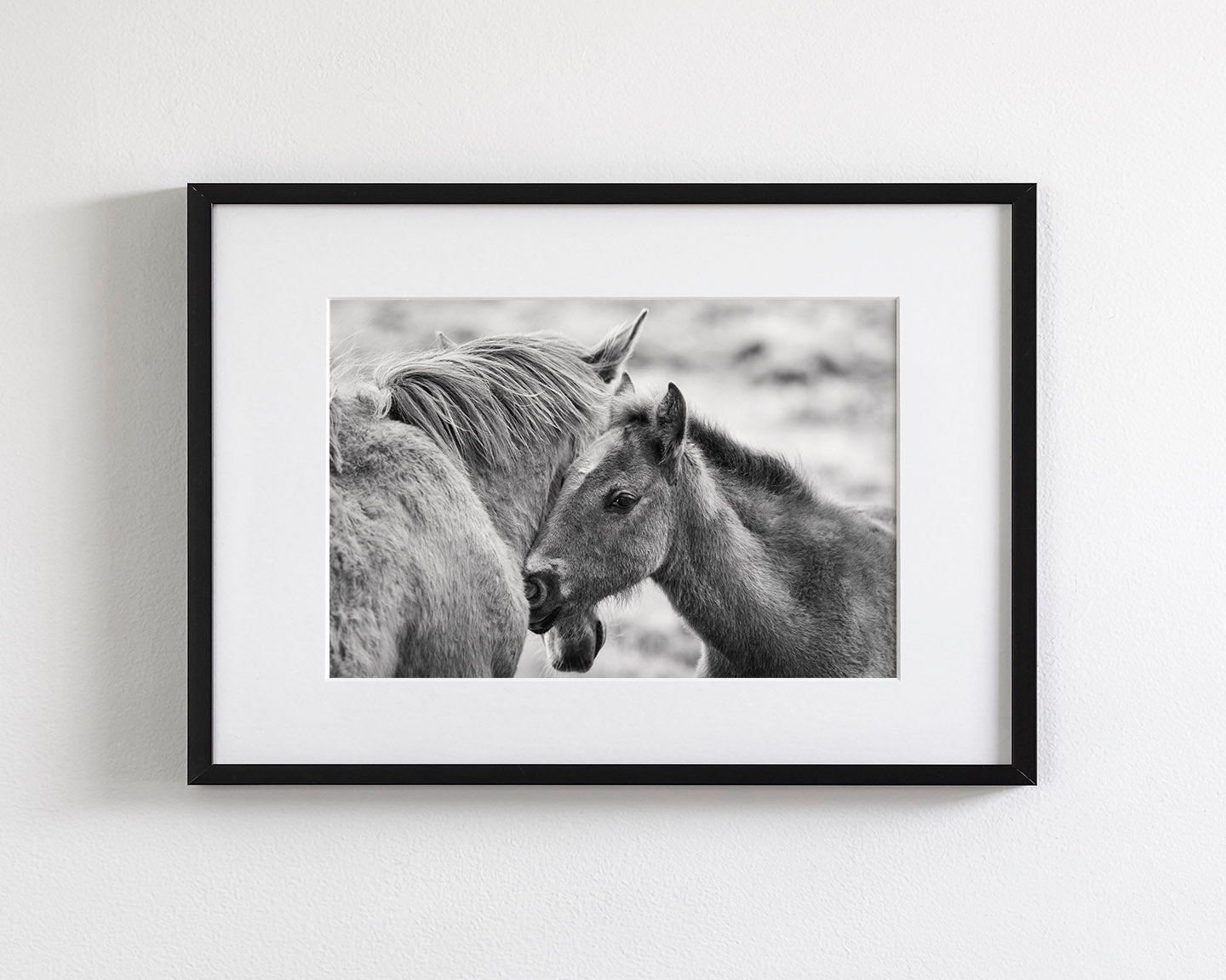 Foal and Mother – Tender Equine Moment