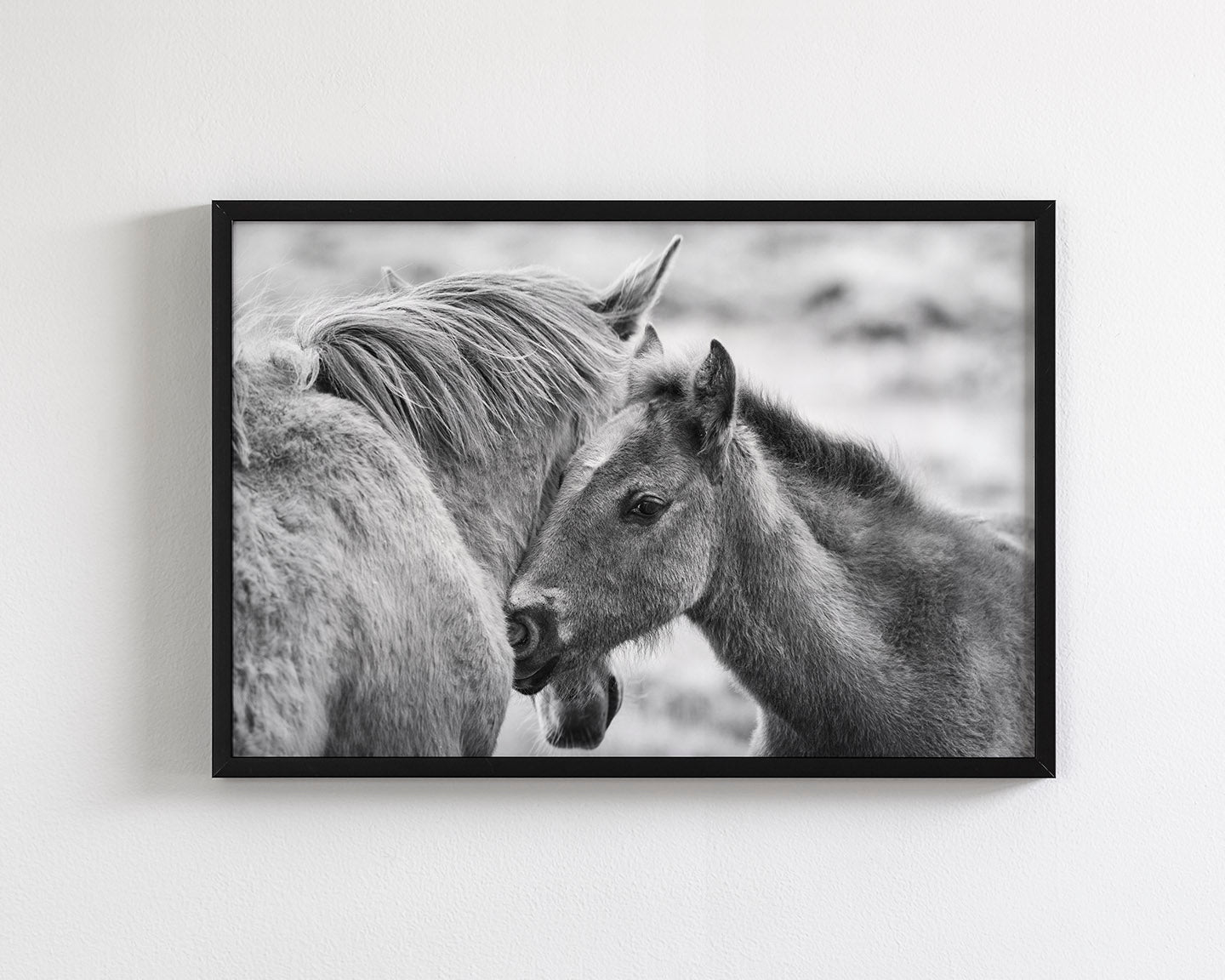 Foal and Mother – Tender Equine Moment