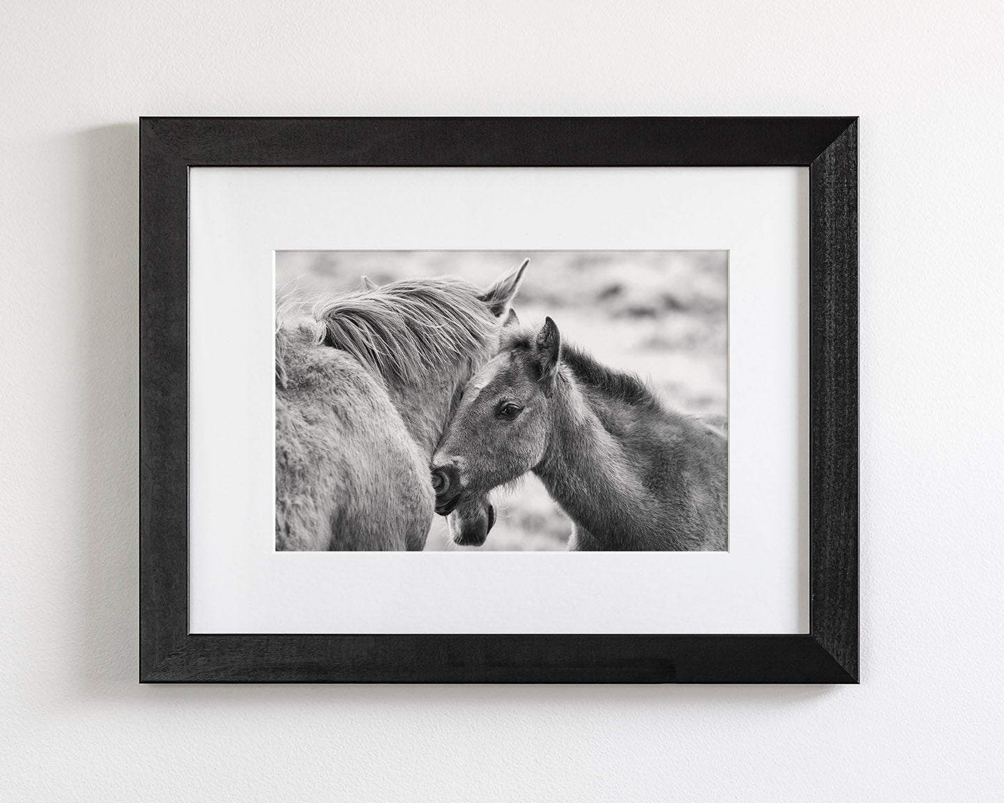 Foal and Mother – Tender Equine Moment