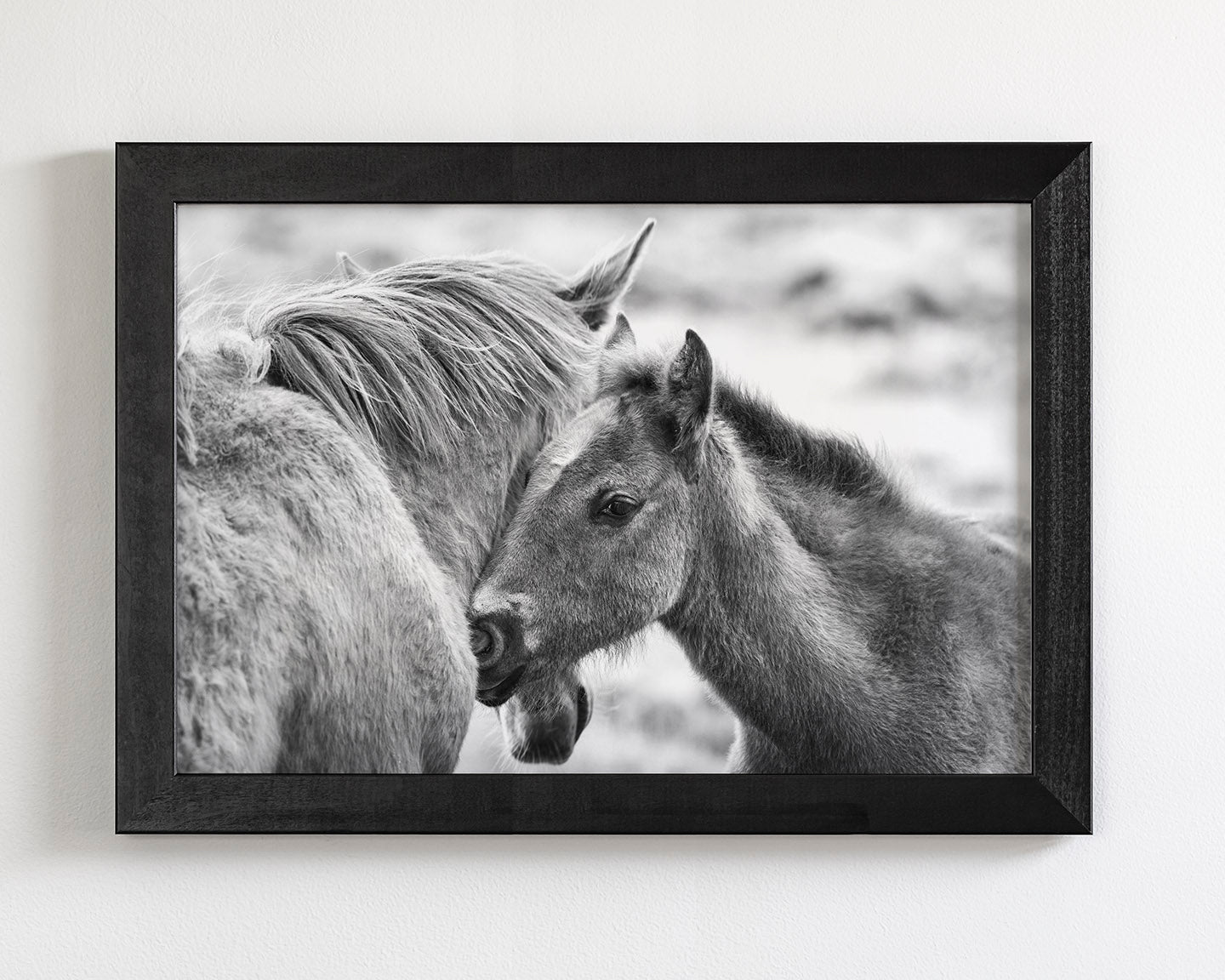Foal and Mother – Tender Equine Moment