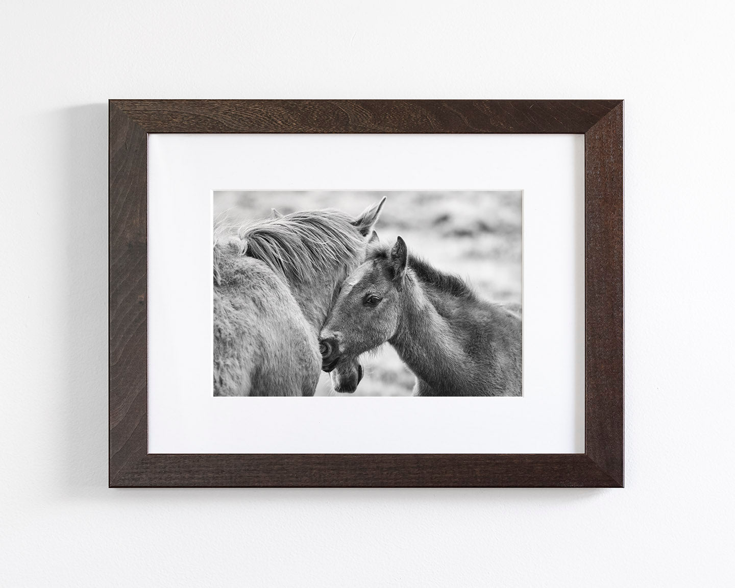 Foal and Mother – Tender Equine Moment