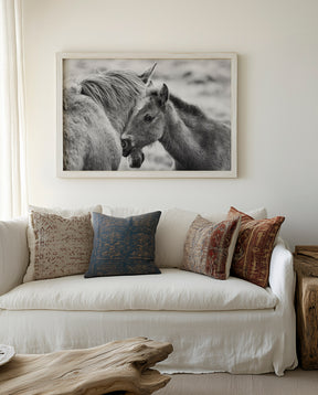 Foal and Mother – Tender Equine Moment