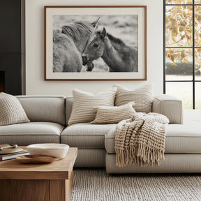 Foal and Mother – Tender Equine Moment