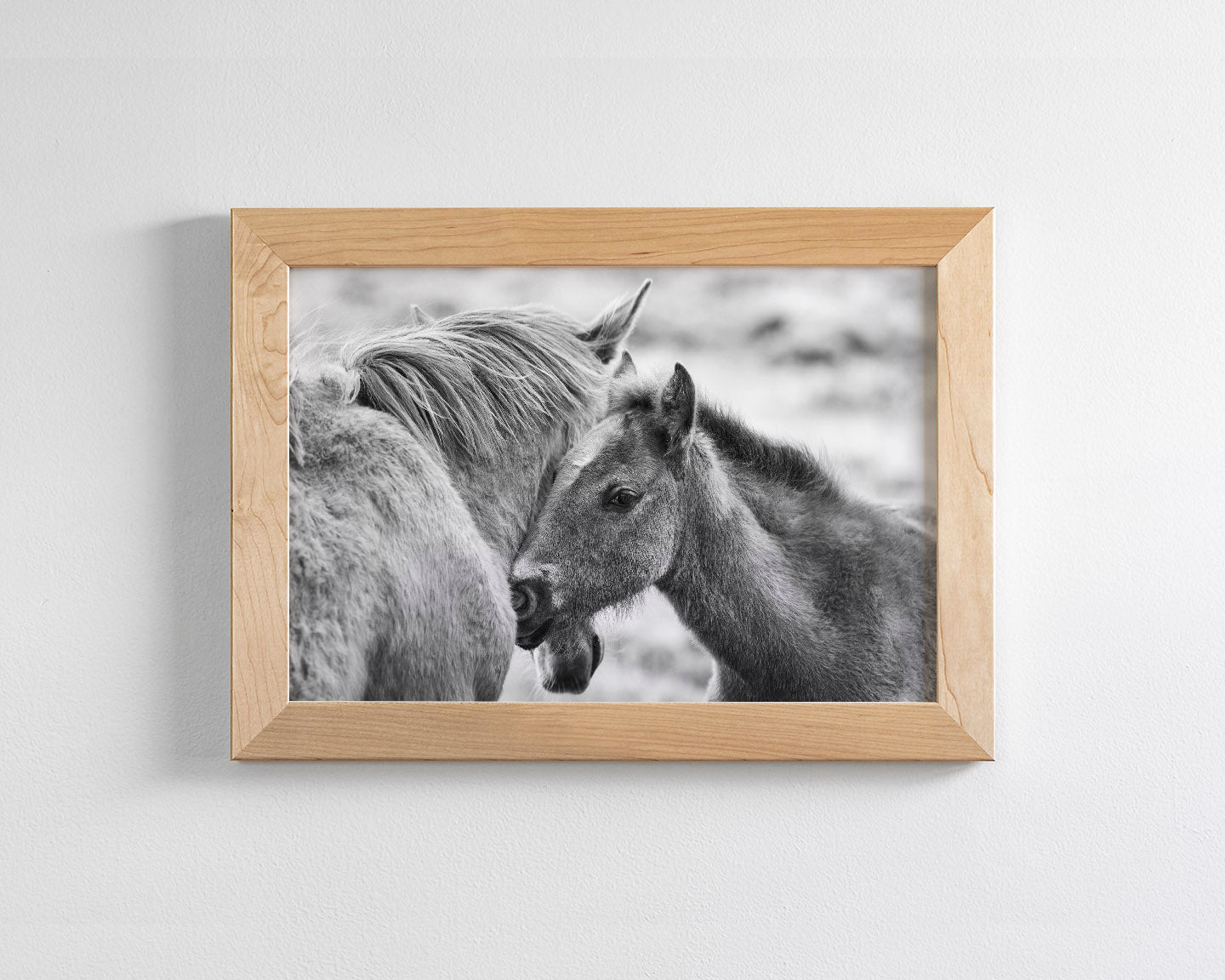 Foal and Mother – Tender Equine Moment