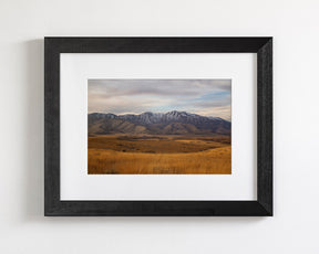 Golden Mountains