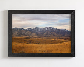 Golden Mountains