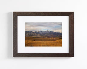 Golden Mountains