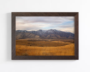 Golden Mountains