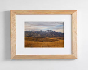 Golden Mountains