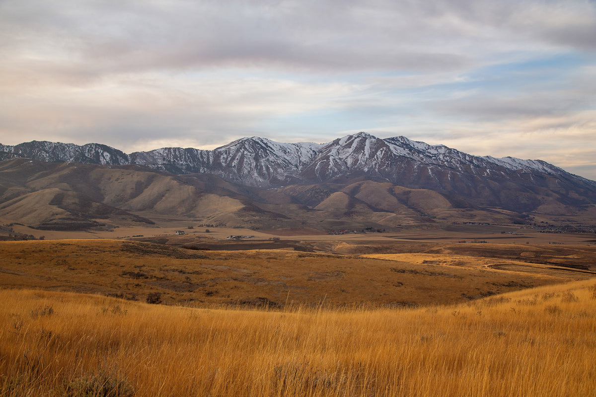 Golden Mountains