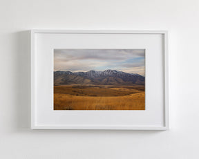 Golden Mountains