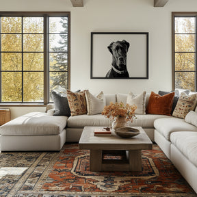 Great Dane Photograph