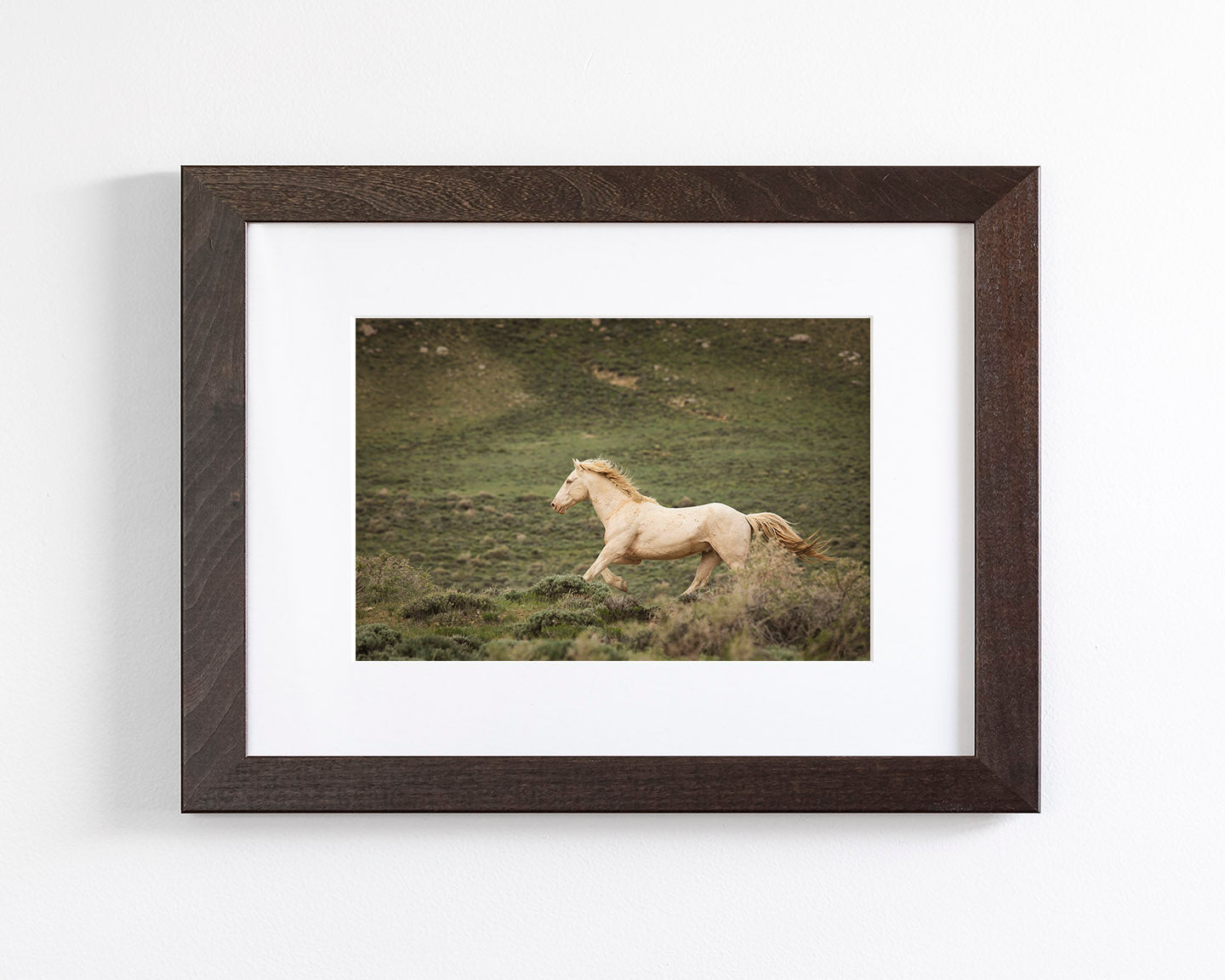 Hillside Stallion