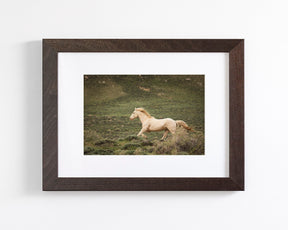 Hillside Stallion