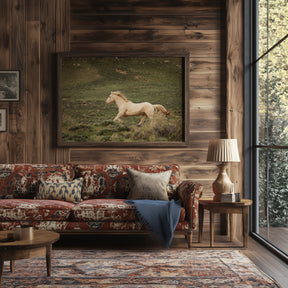 Hillside Stallion
