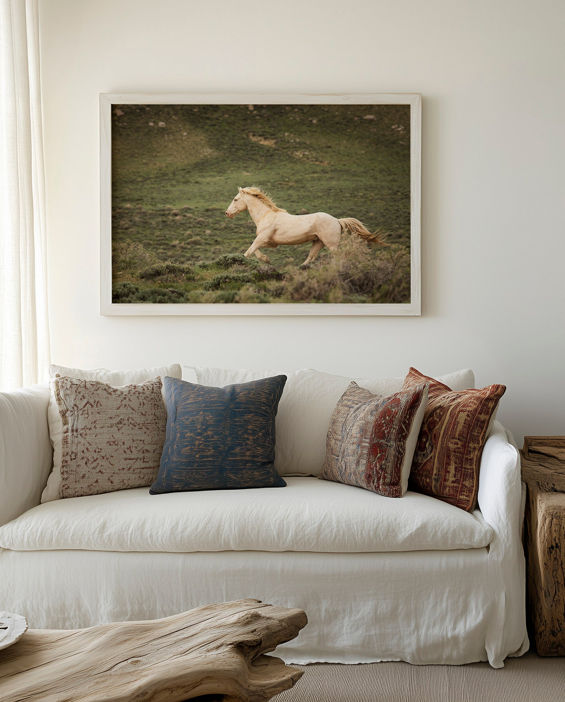 Hillside Stallion