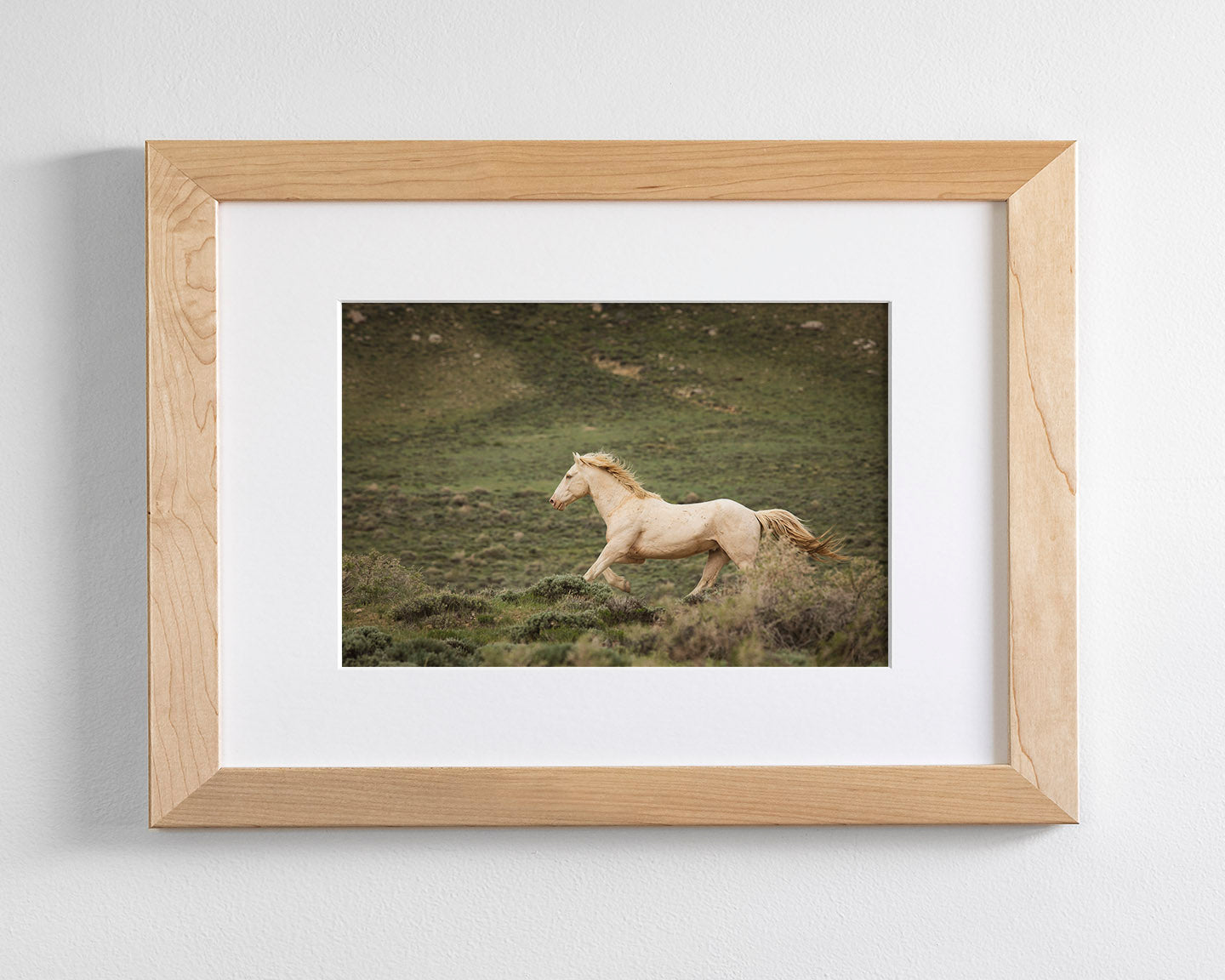 Hillside Stallion