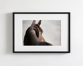 Sideways Glance in Color