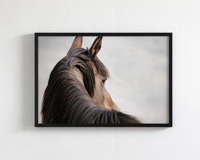 Sideways Glance in Color