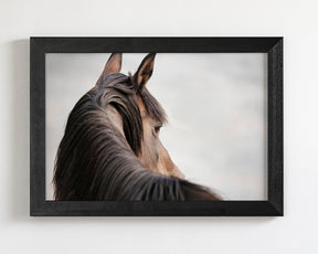 Sideways Glance in Color