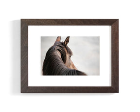 Sideways Glance in Color