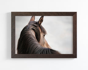 Sideways Glance in Color