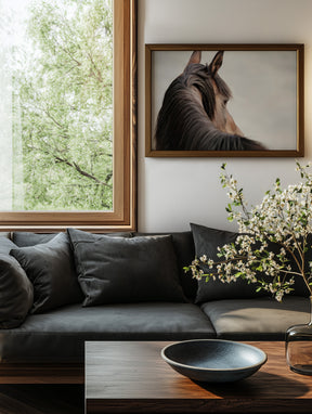 Sideways Glance in Color